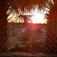 Laurie Armstrong Photo 32