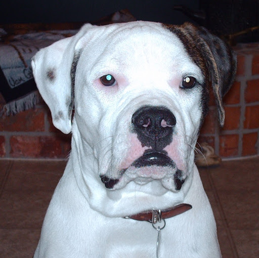 Terry Edwards Photo 30