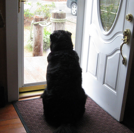 Chris Grogan Photo 36