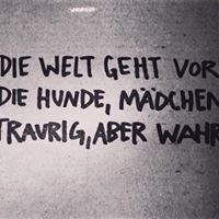 Sara Schneider Photo 11