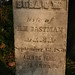 Susan Truax Photo 35