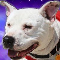 Christine Sparks Photo 20