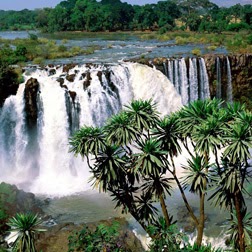 Hector Duarte Photo 37