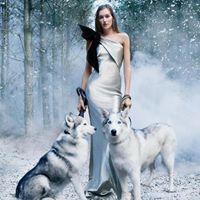 Terry Adams Photo 30