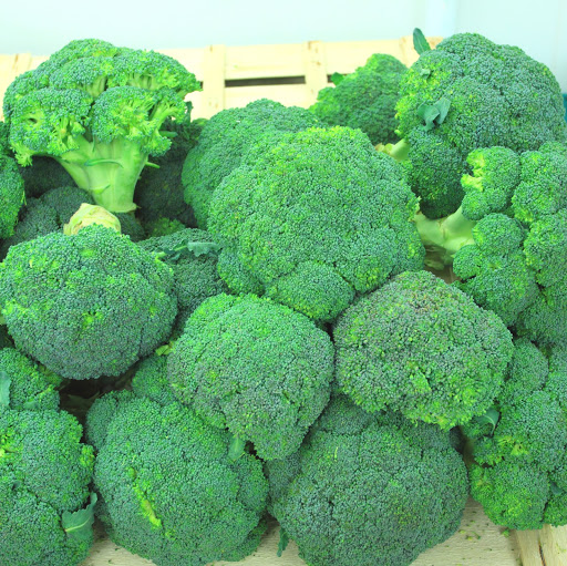 Thomas Saunders Photo 56 Thomas Saunders Photo 56