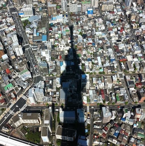 William Novak Photo 43 William Novak Photo 43