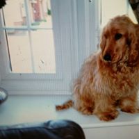 Elise Schofield Photo 10