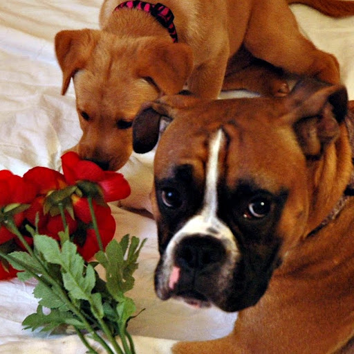 Megan Locke Photo 27