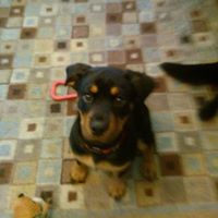 Judy Erickson Photo 23