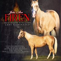 Stephanie Benedict Photo 14