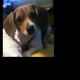 Christina Jewell Photo 9