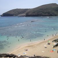 Alfred Fischer Photo 11