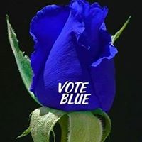 Debra Klein Photo 24