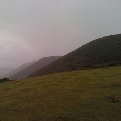 Peter Robins Photo 5