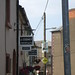 Robert Cooney Photo 17