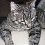 Sandra Cartwright Photo 37