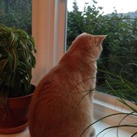 Connie Capps Photo 6