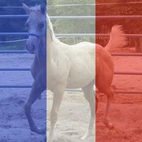 Shawna Jenkins Photo 28