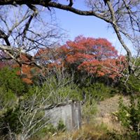 Mary Ridgeway Photo 14