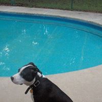 Judith Royce Photo 6