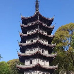 Zheng Xu Photo 23