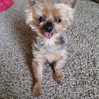 Cheryl Wolfe Photo 23 Cheryl Wolfe Photo 23