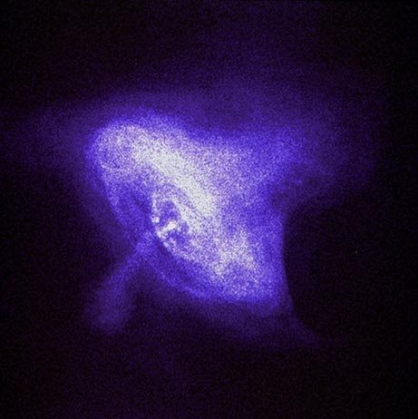 Nathan Manley Photo 7