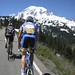 Alan Berman Photo 28