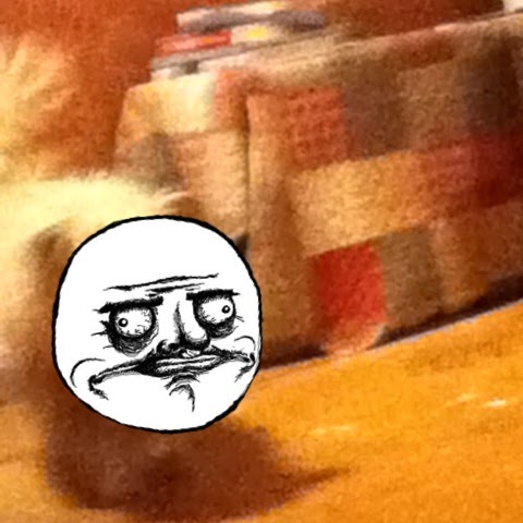 Jared Perkins Photo 11 Jared Perkins Photo 11