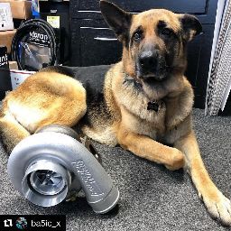 Samuel Willis Photo 18