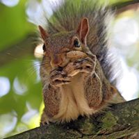 Bobby Roberts Photo 9