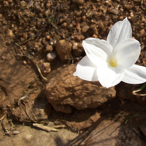 Kimberly George Photo 46