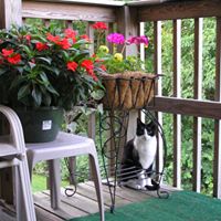 Sandra Caron Photo 17