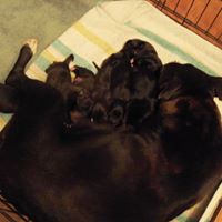 Kathleen Helm Photo 11