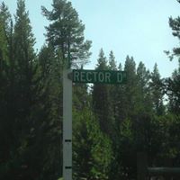 David Rector Photo 26