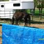 Thomas Herd Photo 29