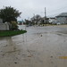 Laurie Hampton Photo 15