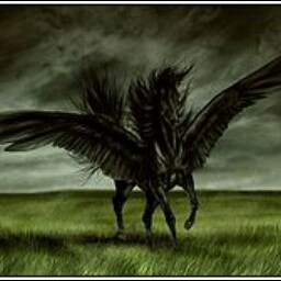 Abigail Singleton Photo 11