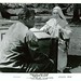 Deborah Allison Photo 31