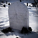 Anthony Graves Photo 26