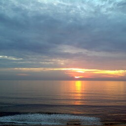 Vernon Robinson Photo 11 Vernon Robinson Photo 11