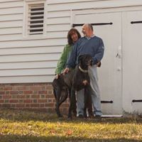 Stacey Gilbert Photo 19