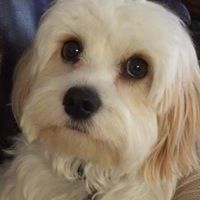 Ruth Hopkins Photo 23