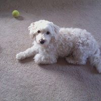 Kristine Jenkins Photo 14