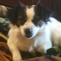 Neil Archer Photo 19