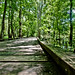 Ami Lake Photo 12
