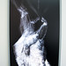 Mark Napier Photo 30