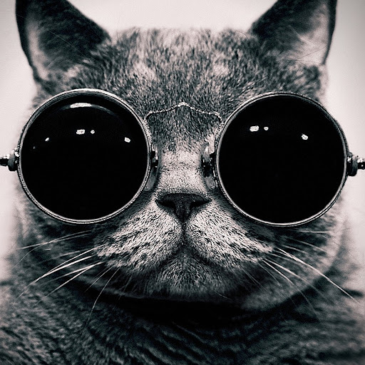 Patrick Elliott Photo 44