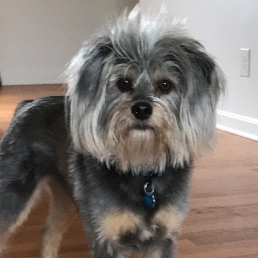 Adrienne Snow Photo 20 Adrienne Snow Photo 20