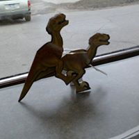 Pamela Skaggs Photo 11